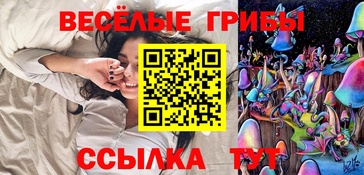 Псилоцибиновые грибы мухоморы Ачхой-Мартан